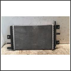 Bild von Radiatore Acqua Motore DACIA Spring EV 4DB401 214109411R 