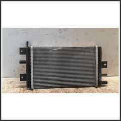 Bild von Radiatore Acqua Motore DACIA Spring EV 4DB401 214109411R 