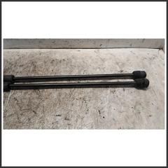 Immagine di Ammortizzatore Portellone Posteriore Idraulico LANCIA Delta III 51809199 022421