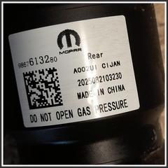 Immagine di Ammortizzatore Posteriore Sinistro PEUGEOT 208 II 9867607180 9867613280