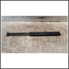 Immagine di Ammortizzatore Portellone Posteriore Idraulico FIAT Panda III 51841634 227680420N