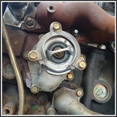 Immagine di Motore YD22DDTI GASOLIO NISSAN Almera Tino 2.2 10102BN360