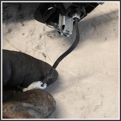 Immagine di Aletta Parasole Destra CITROEN DS7 98218585ZD