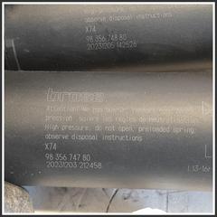 Immagine di Ammortizzatore Portellone Posteriore Elettroidraulico CITROEN DS7 9835674880 9835674780