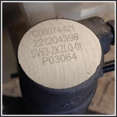 Immagine di Servofreno MAXUS E-Deliver 9 C00219058 C00074421