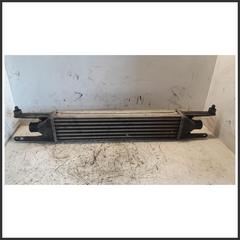 Immagine di Radiatore Intercooler FIAT Grande Punto 1.3 199A3000 55700449 866450000