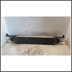 Immagine di Radiatore Intercooler FIAT Grande Punto 1.3 199A3000 55700449 866450000