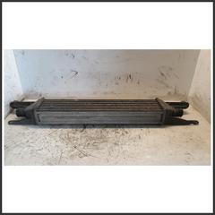 Immagine di Radiatore Intercooler FIAT Grande Punto 1.3 199A3000 55700449 866450000