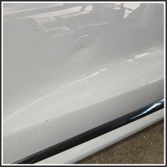 Immagine di Porta Anteriore Sinistra FORD Puma II 2405130