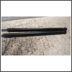 Immagine di Ammortizzatore Portellone Posteriore Idraulico FORD Puma II 2440270 L1TBS406A10AB