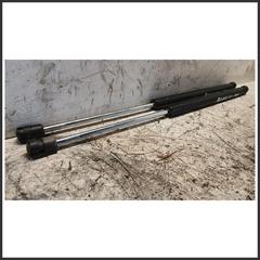 Immagine di Ammortizzatore Portellone Posteriore Idraulico FIAT Punto II 46744596 
