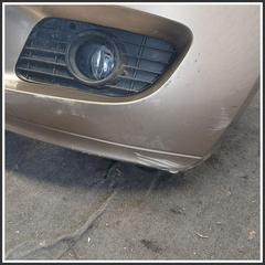 Immagine di Paraurti Anteriore MERCEDES Classe A W169 A1698801640