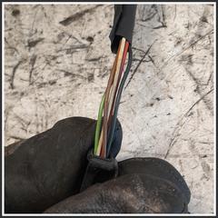Immagine di Specchio Retrovisore Destro CITROEN C3 Pluriel 8149NX 011019