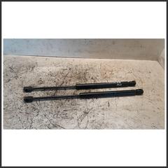 Immagine di Ammortizzatore Portellone Posteriore Idraulico RENAULT Clio II 7700842256 8408HC0340N