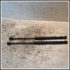 Immagine di Ammortizzatore Portellone Posteriore Idraulico RENAULT Clio II 7700842256 8408HC0340N