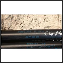 Immagine di Ammortizzatore Portellone Posteriore Idraulico RENAULT Clio II 7700842256 8408HC0340N