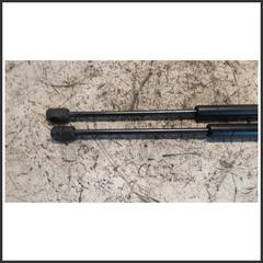 Immagine di Ammortizzatore Portellone Posteriore Idraulico RENAULT Clio II 7700842256 8408HC0340N