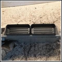 Immagine di Centralina Motore Iniezione ECU RENAULT Clio II 7700115161 S110140201