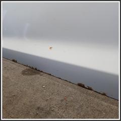 Immagine di Porta Anteriore Sinistra OPEL Astra J SW 13330765