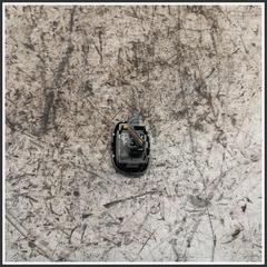 Immagine di Comandi Alzavetri Anteriore Destro FIAT Panda III 735536760