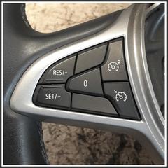 Immagine di Volante Sterzo DACIA Sandero III 484004420R