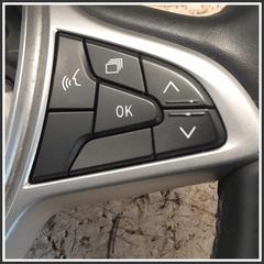 Immagine di Volante Sterzo DACIA Sandero III 484004420R