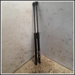 Immagine di Ammortizzatore Portellone Posteriore Idraulico DACIA Sandero III 904513457R 904529961R