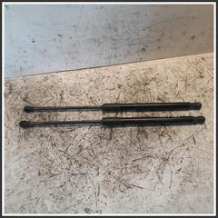 Immagine di Ammortizzatore Portellone Posteriore Idraulico DACIA Sandero III 904513457R 904529961R