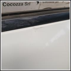 Immagine di Porta Anteriore Sinistra DACIA Sandero III 801018891R