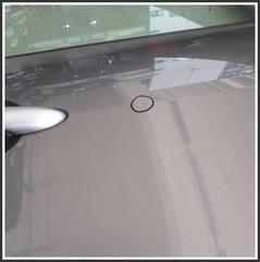 Immagine di Porta Posteriore Destra RENAULT Scénic III X-Mod 821009283R