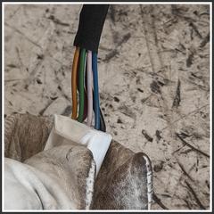 Immagine di Ammortizzatore Portellone Posteriore Elettroidraulico TESLA MODEL Y 150060200A 
