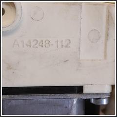 Immagine di Alzavetro Posteriore Destro TESLA MODEL Y 200548700A A14248112