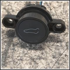 Immagine di PULSANTE PORTELLONE Anteriore Centrale TESLA MODEL Y 150190700C 