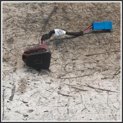 Immagine di Pulsante apertura portiera  Anteriore Destro TESLA MODEL Y 109495702E