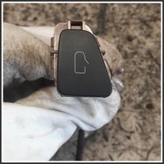 Immagine di Pulsante apertura portiera  Anteriore Destro TESLA MODEL Y 109495702E