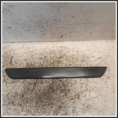Immagine di Battitacco ant. TESLA MODEL Y 149430100B 