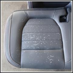 Immagine di Set Sedili Completi MG ZS II 10753220ASA