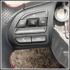 Immagine di Volante Sterzo MG ZS II 11237276PHD5