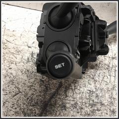 Immagine di Comandi Devioguida MG ZS II 11990130 654466978