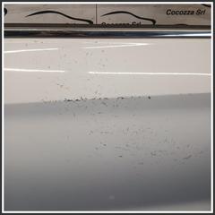 Immagine di Porta Anteriore Destra MG ZS II 10318336SEPP