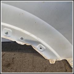 Immagine di Parafango Anteriore Sinistra MG ZS II 10292951SEPP