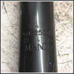 Immagine di Ammortizzatore Posteriore Sinistro MG ZS II 10825262 10825265