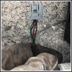 Immagine di Specchio Retrovisore Sinistro FORD Fusion 1379885 026523