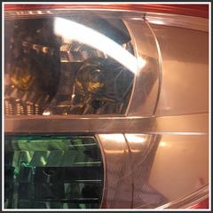 Immagine di Fanale Posteriore Destro  Alogeno SUZUKI SX4 3565079J00000