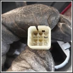 Immagine di Fanale Posteriore Sinistro  Alogeno SUZUKI SX4 3567079J00000