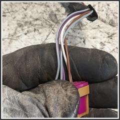 Immagine di Specchio Retrovisore Sinistro VOLKSWAGEN Polo IV 6Q1857507G01C 6Q0857933