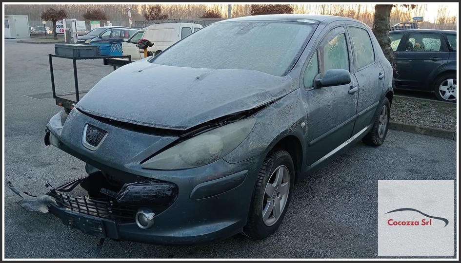 Immagine di PEUGEOT 307 (dal 04/01 al 12/06) 1.6 16V HDi (66Kw) SW 5p/d/1560cc