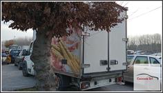 Immagine di FIAT Ducato 250 35 2.3 Multijet LH1, 16v. 250 F1AE0481D 88Kw Chassis Cabin, 4 p. 2006-08 - 2011-05