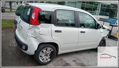 Immagine di FIAT Panda III 1.2 312PXA1A 169A4000 51Kw Berlina, 5 p. 2012-01 - 2020-01