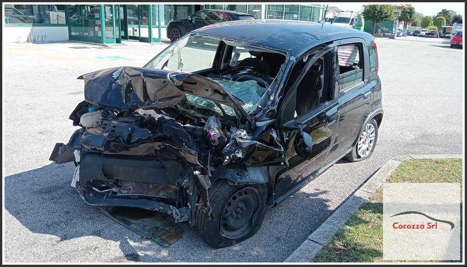 Immagine di FIAT Panda III 1.0 Hybrid, 12v. 312 46341162 51Kw Berlina, 5 p. 2020-01 - 2024-01